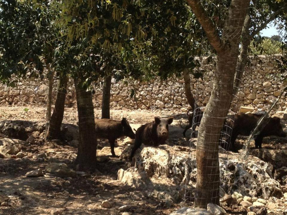 Masseria Autigne Otranto Exteriér fotografie